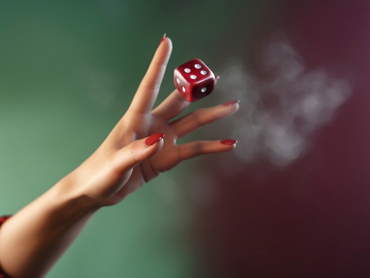 Dashboard akun jp bray dengan riwayat transaksi dan statistik Togel Number